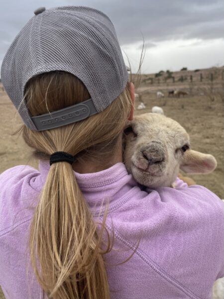 A young woman wearing a gray cap and a purple fleece holds a sheep close to her face, showcasing a warm interaction on a farm with a cloudy sky in the background.