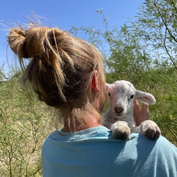 A person with a bun hairstyle holds a young lamb against their shoulder, surrounded by greenery and a clear blue sky, showcasing a bond between humans and farm animals.