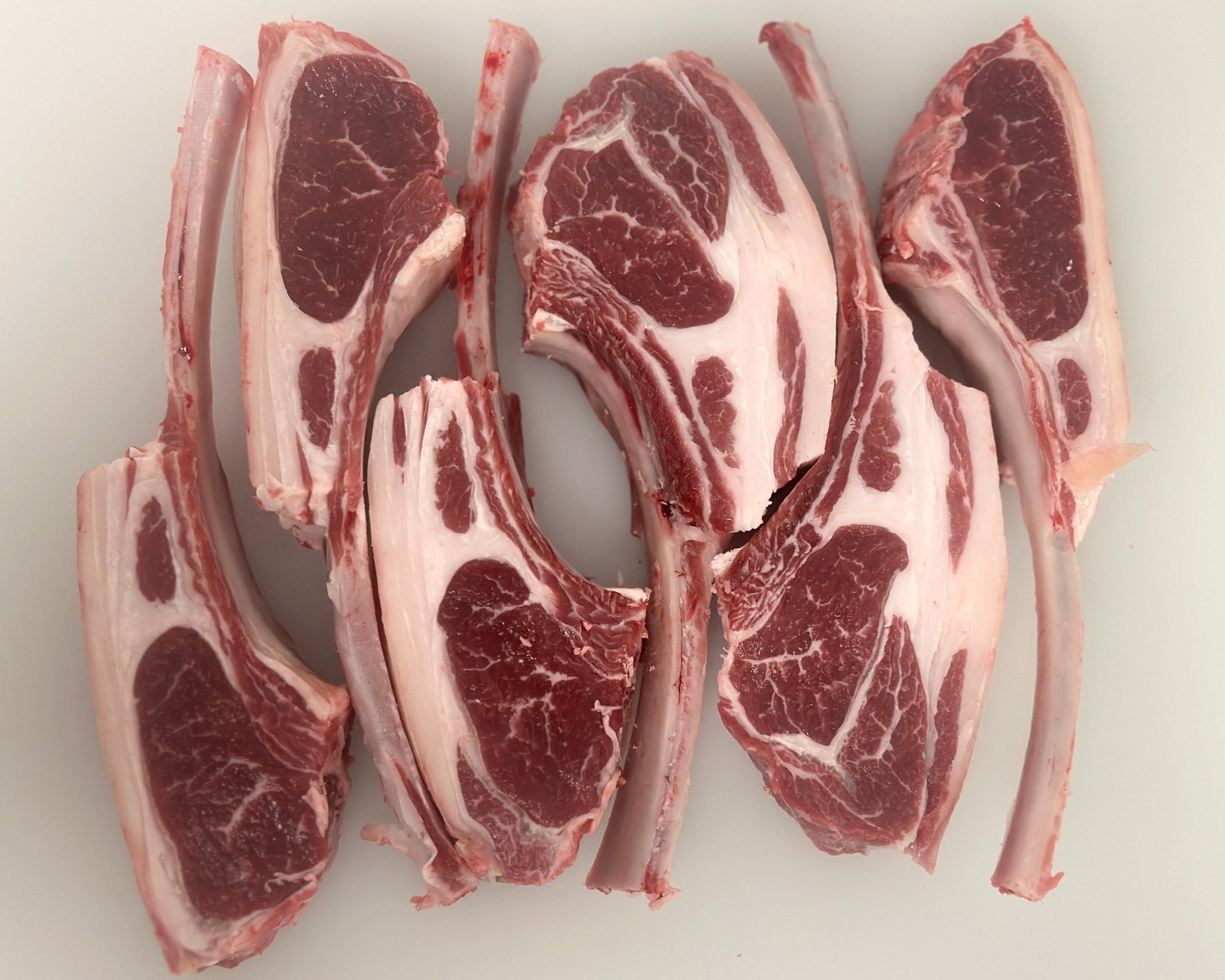 Fresh lamb chops arranged on a white surface, showcasing marbled meat and bone structures, ideal for grilling or roasting.