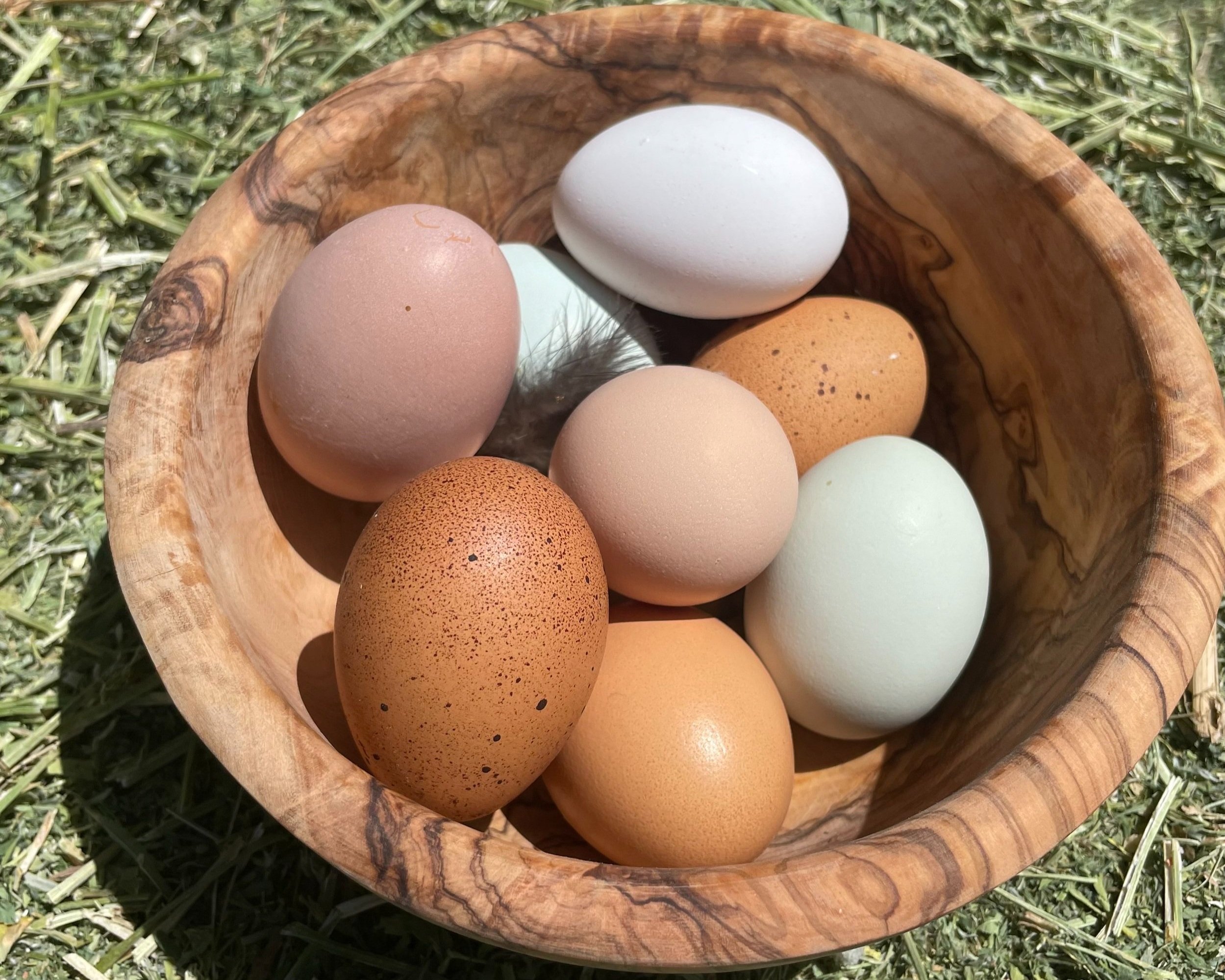 A wooden bowl filled with various colored eggs, including brown, white, pink, and light blue, resting on green grass. The image showcases the diversity of egg colors and textures.