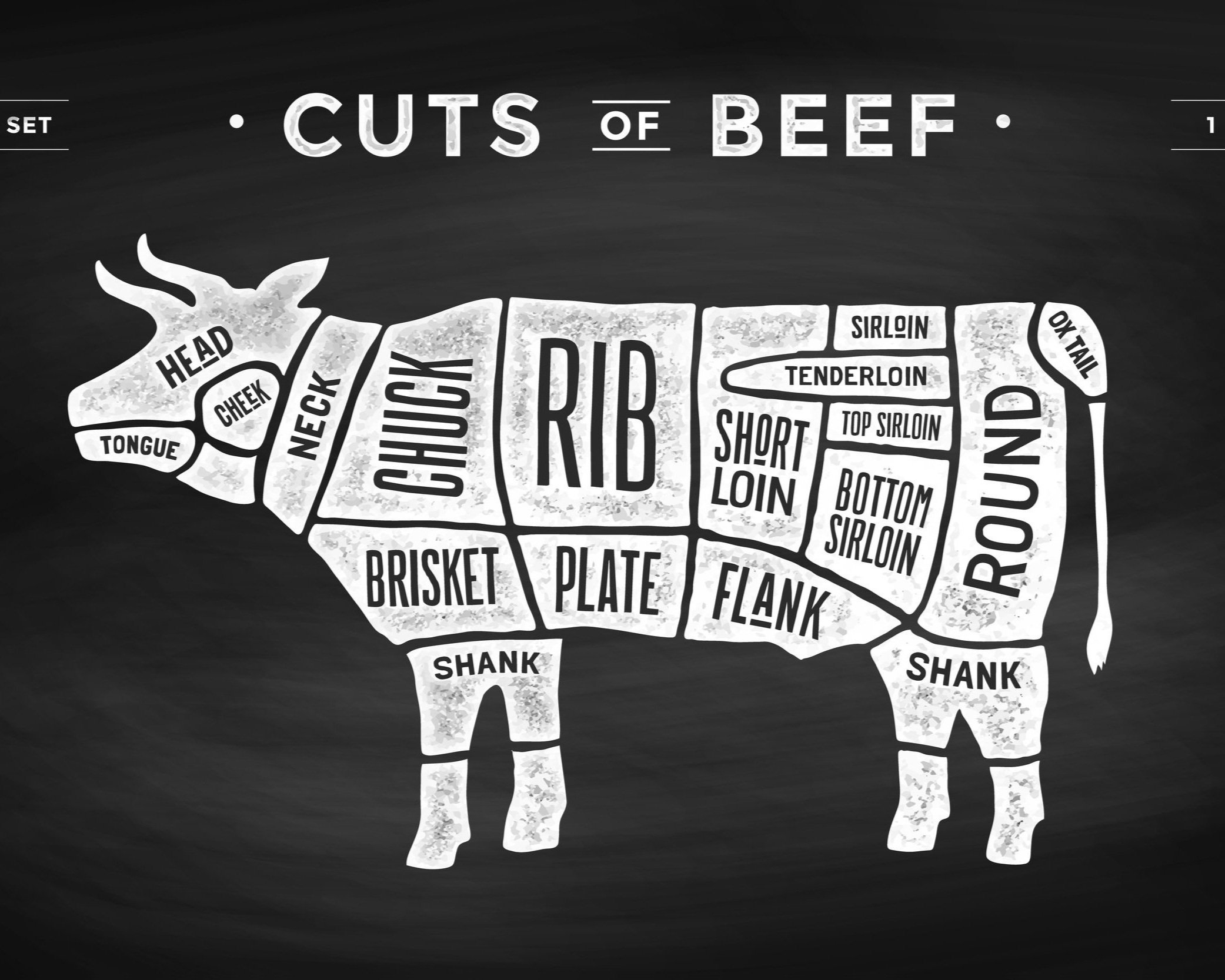 Illustration of beef cuts labeled on a cow diagram, showcasing various sections such as rib, brisket, sirloin, and flank, designed for educational purposes in butchery and cooking.